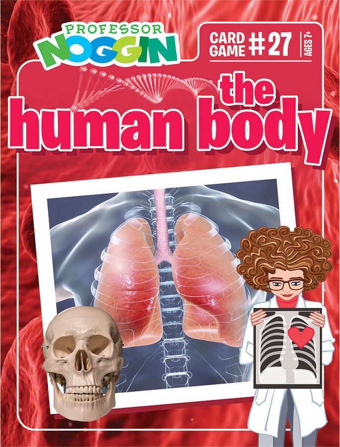 Professor Noggin's The Human Body