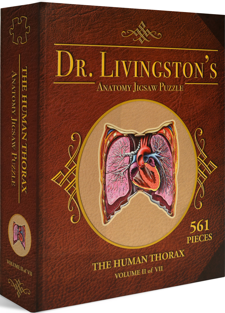 Dr. Livingston's Anatomy Jigsaw Puzzle: The Human Thorax