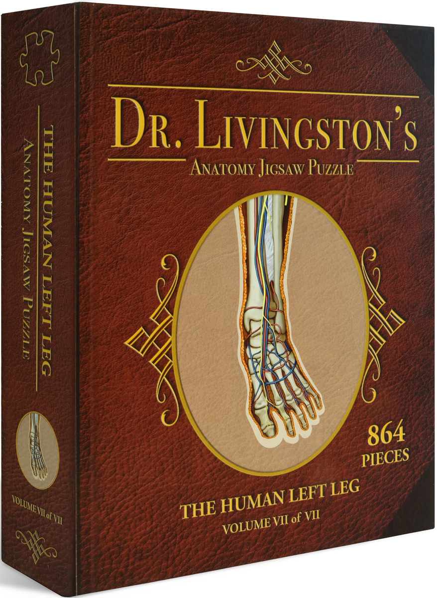 Dr. Livingston's Anatomy Jigsaw Puzzle: The Human Left Leg