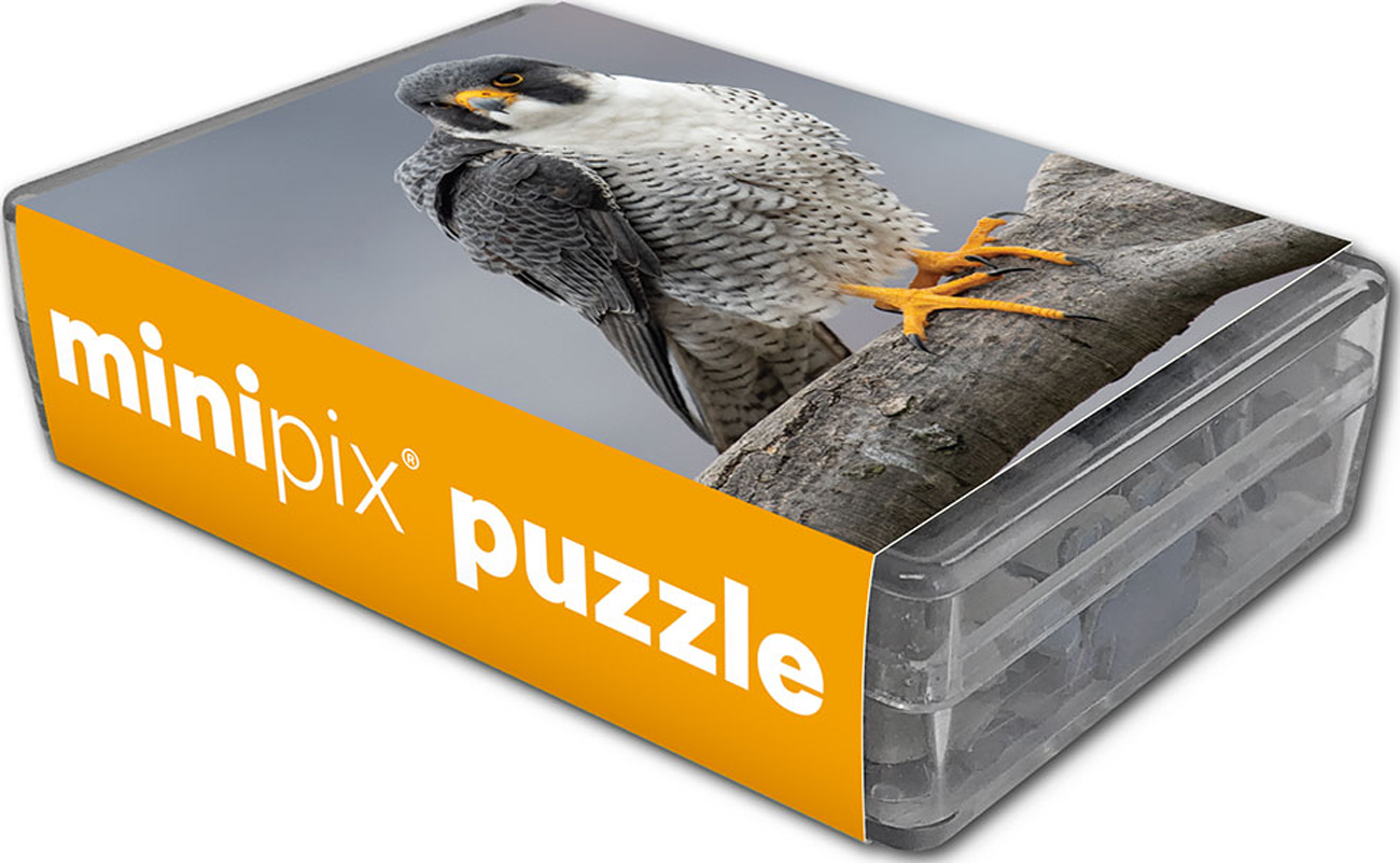 Peregrine Falcon MiniPix® Puzzle