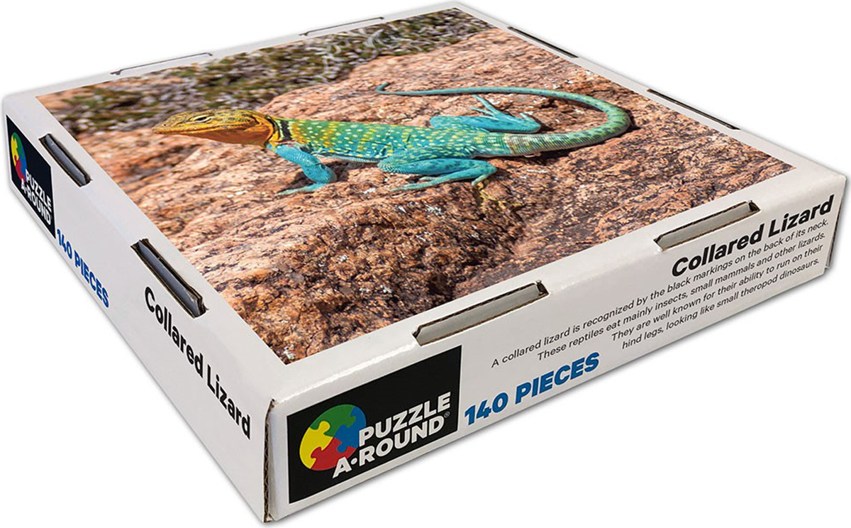 Collared Lizard Puzzle A•Round: