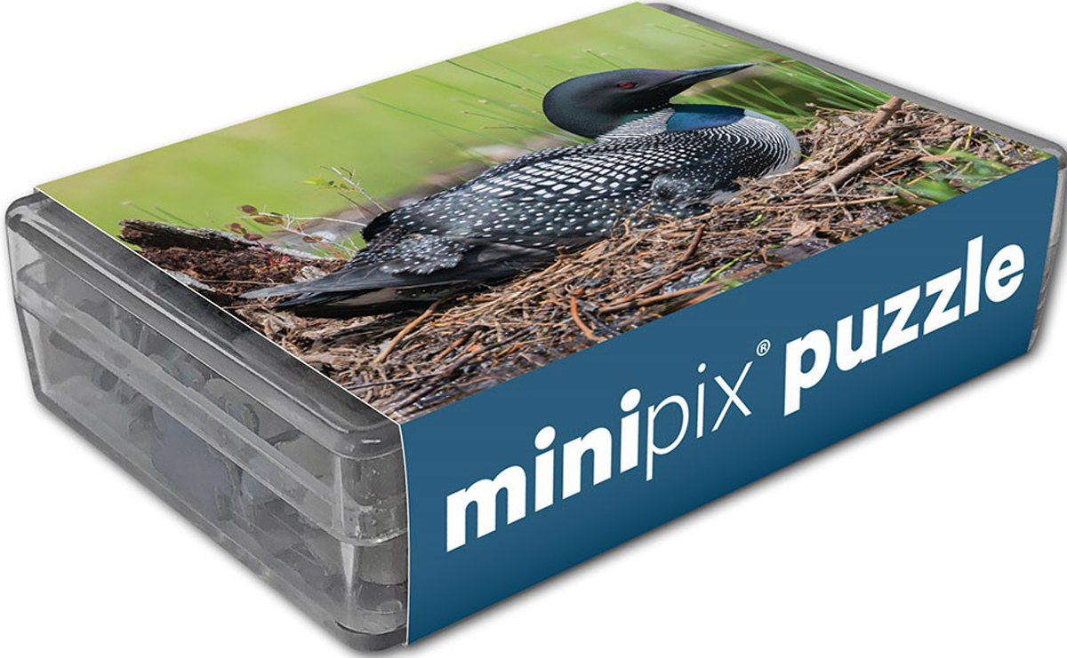 Common Loon MiniPix® Puzzle