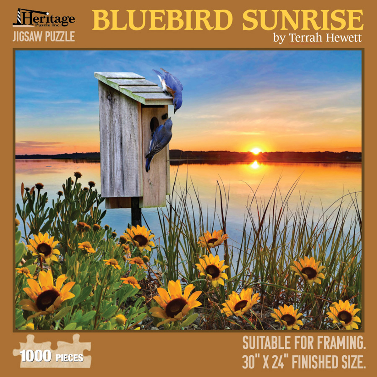 Bluebird Sunrise