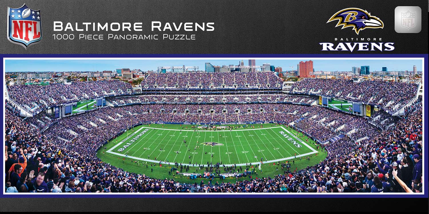 Baltimore Ravens NFL Stadium Panoramics Center View