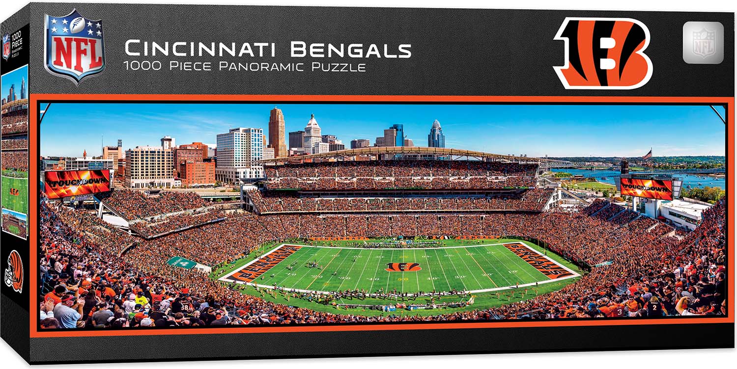Cincinnati Bengals NFL Stadium Panoramics Center View