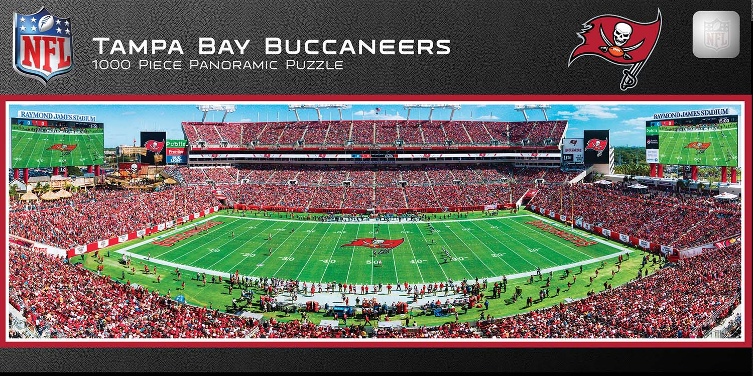 Tampa Bay Buccaneers NFL Stadium Panoramics Center View
