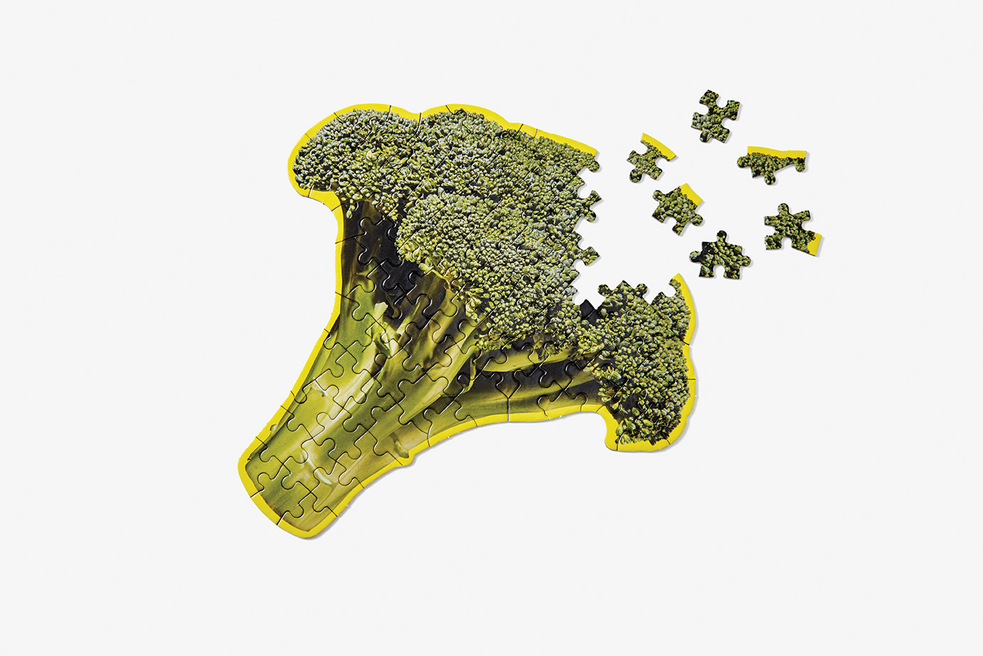 Broccoli Follower Crossword