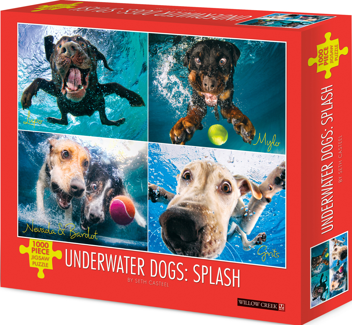 Underwater Dogs:  Splash