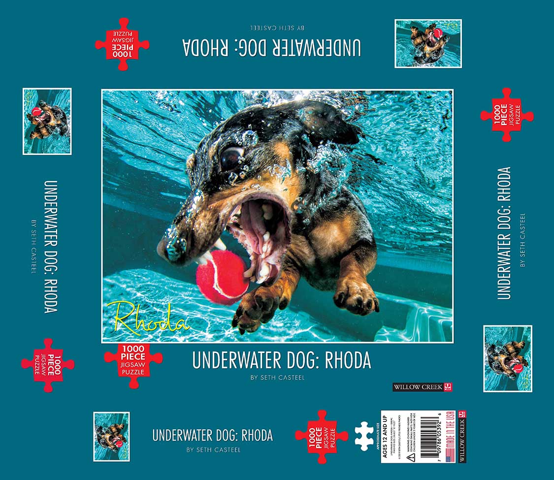 Underwater Dogs:  Rhoda