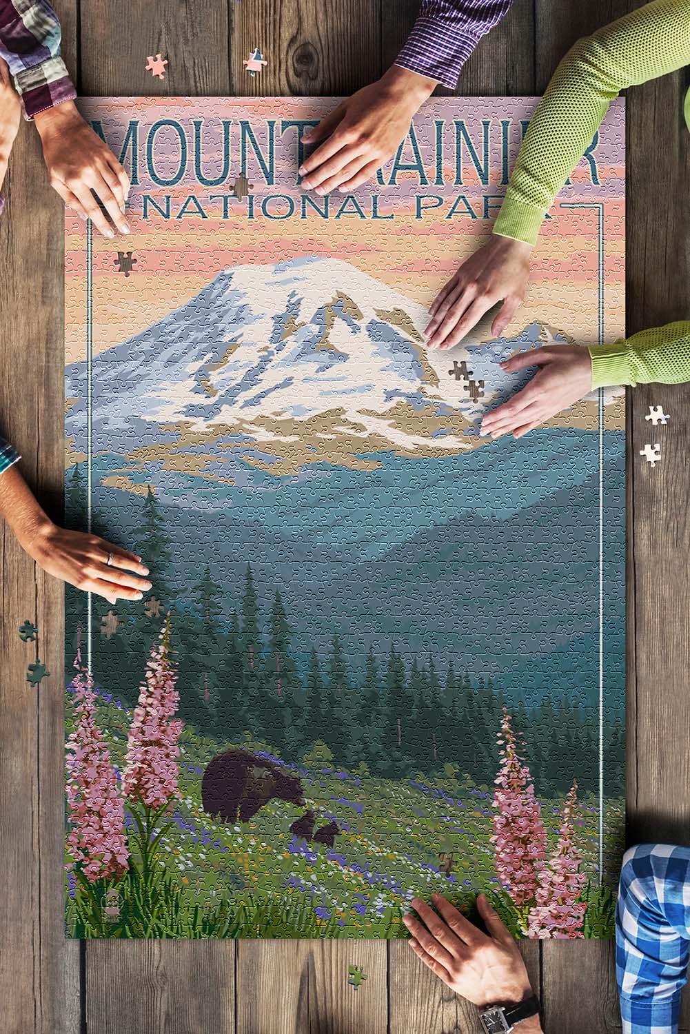Mount Rainier National Park, Washington, Bear & Spring Flowers