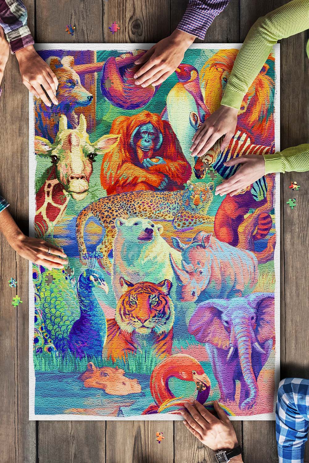Vivid Animal Series, Collage