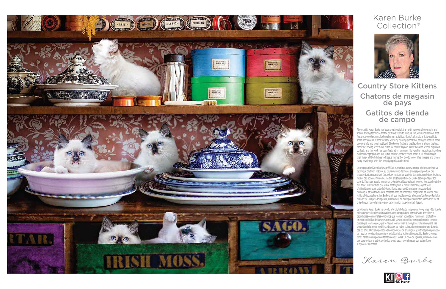 Country Store Kittens