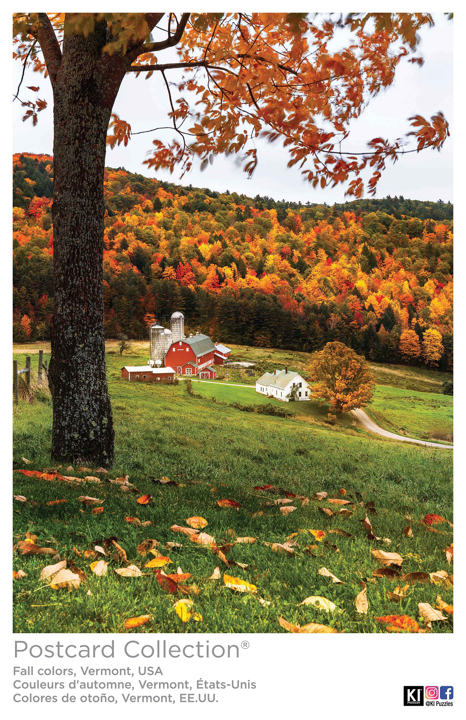 Fall Colors, Vermont - Scratch and Dent