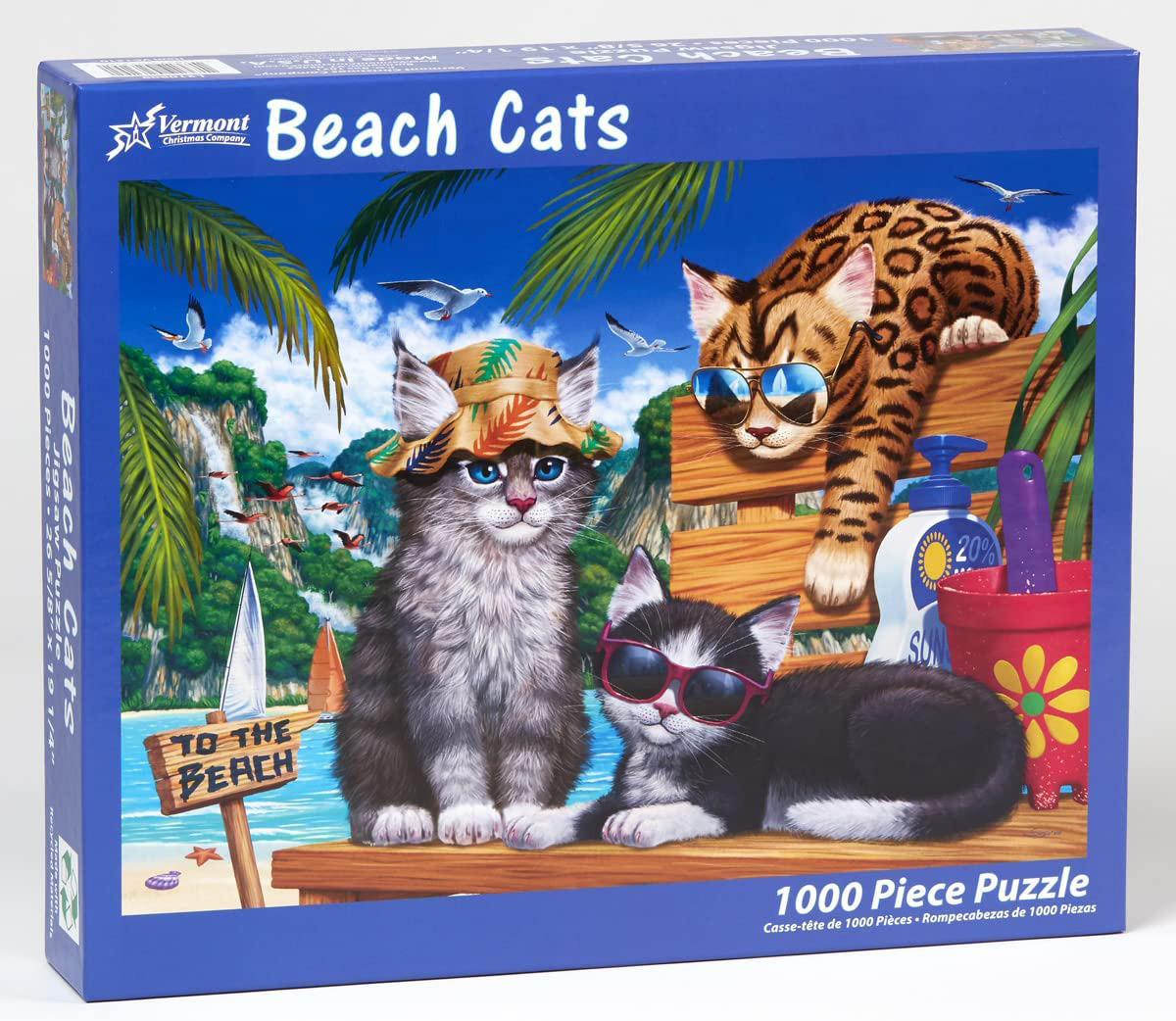 Beach Cats - Scratch and Dent