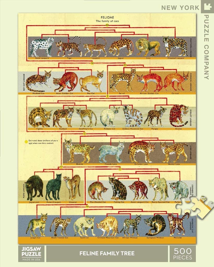 Feline Family Tree