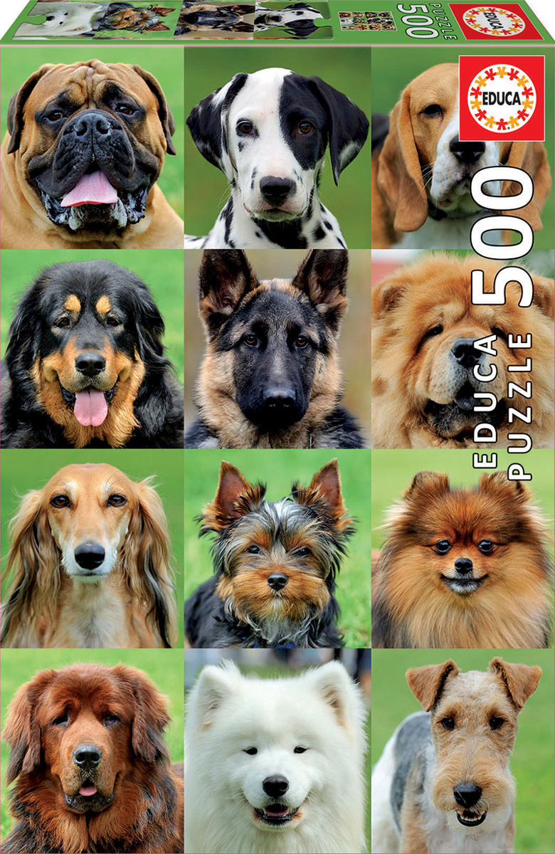 Dogs Collage - Scratch and Dent