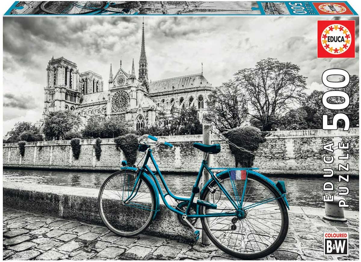 Bike Near Notre Dame