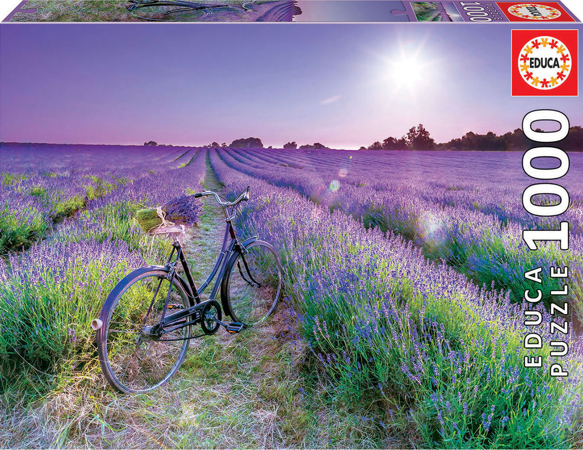 Cycling in the Lavender Field