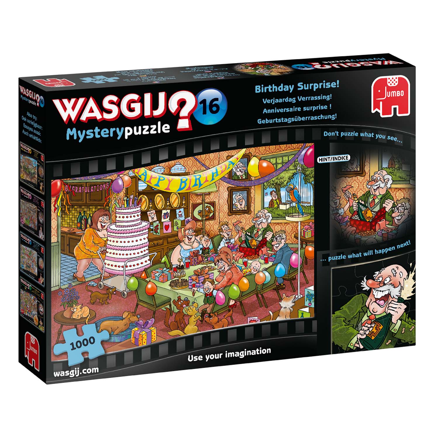 Wasgij Mystery 16: Birthday Surprise!