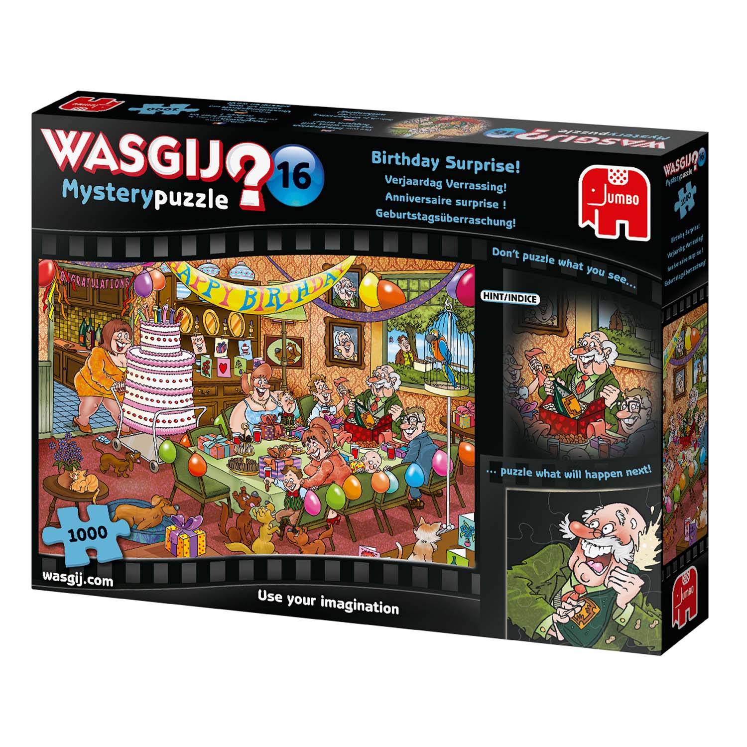 Wasgij Mystery 16: Birthday Surprise!