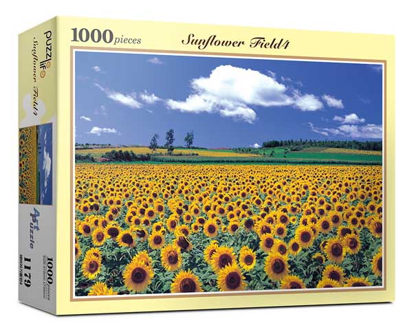 Sunflower Field 4