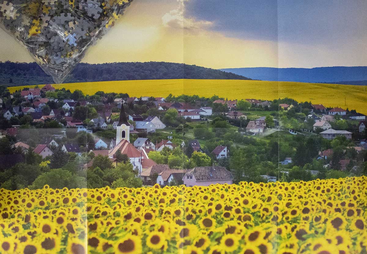 Sunflower Town Village