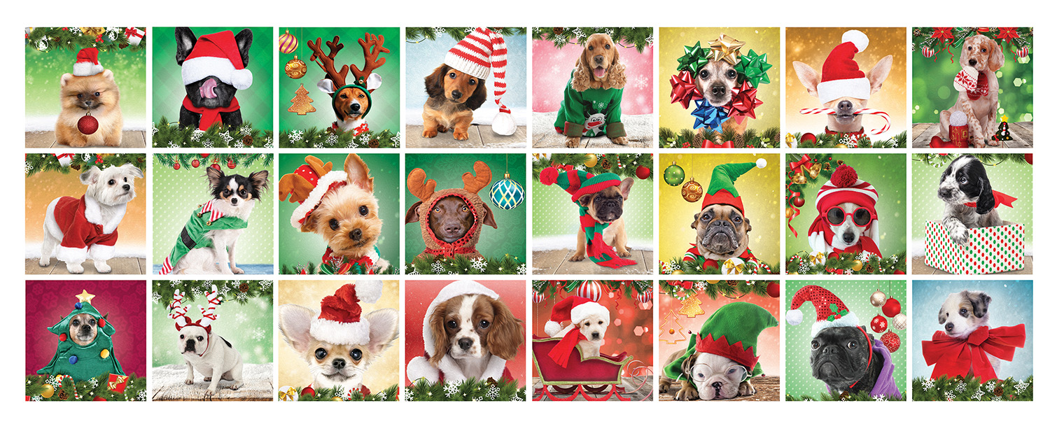 Advent Calendar Christmas Dogs - Scratch and Dent