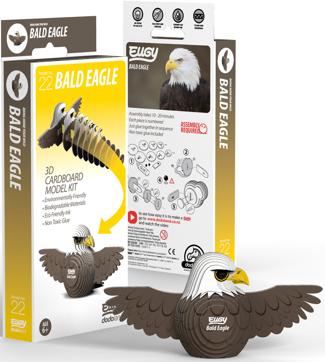 Bald Eagle Eugy
