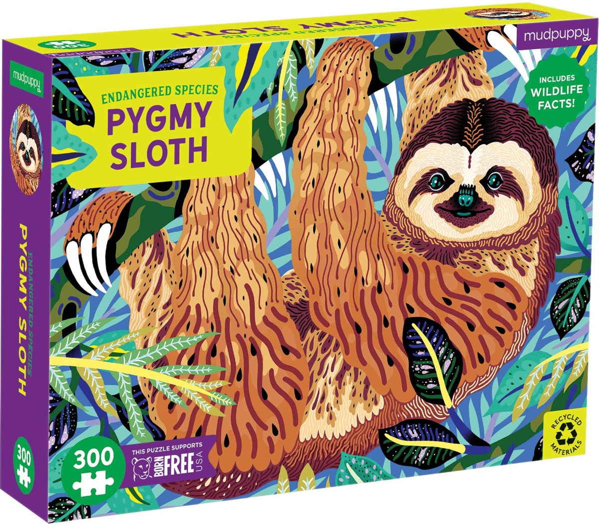 Pygmy Sloth Endangered Species Puzzle