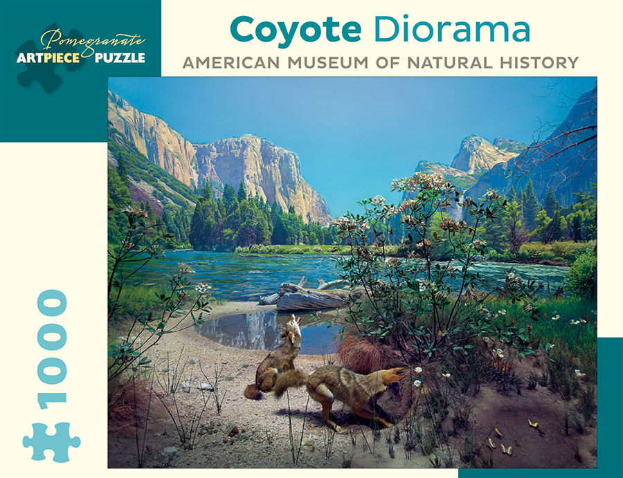Coyote Diorama