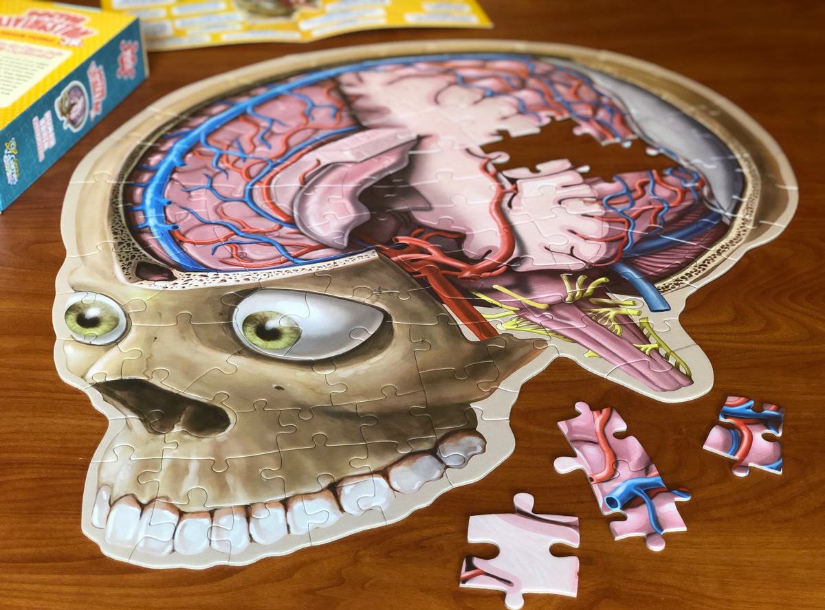 Dr. Livingston Jr. Human Brain Floor Puzzle