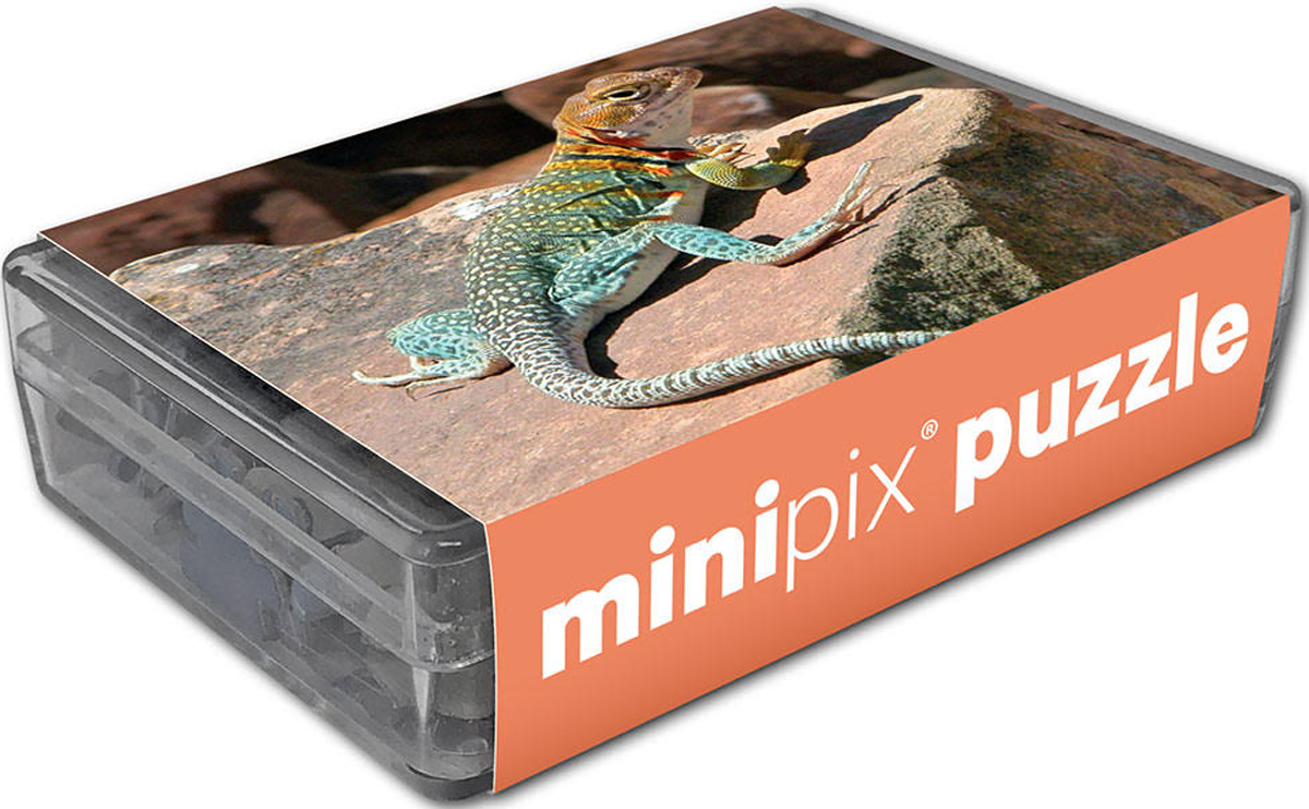 Collared Lizard MiniPix® Puzzle