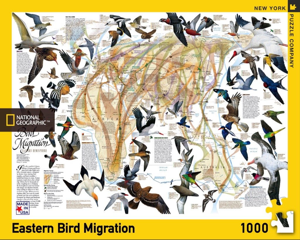 Eastern Bird Migration - Scratch and Dent