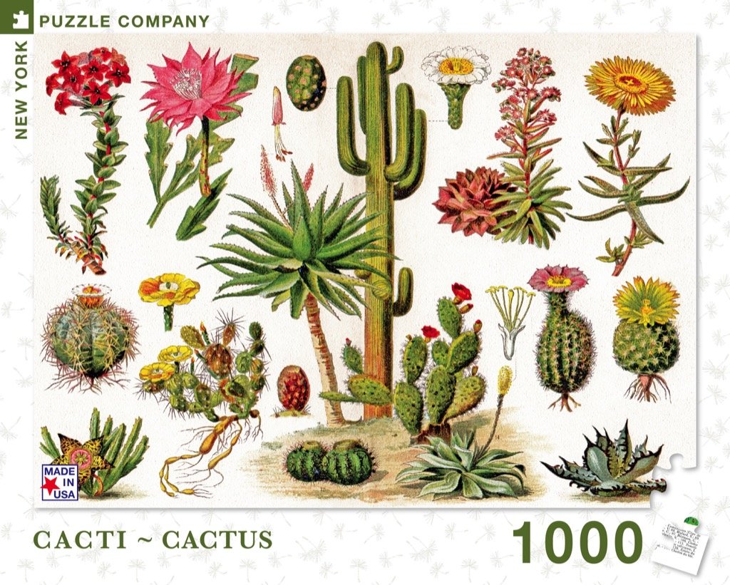 cactus cactus Puzzle Cactus Family piezas 1000 heye arte plantas gabila 