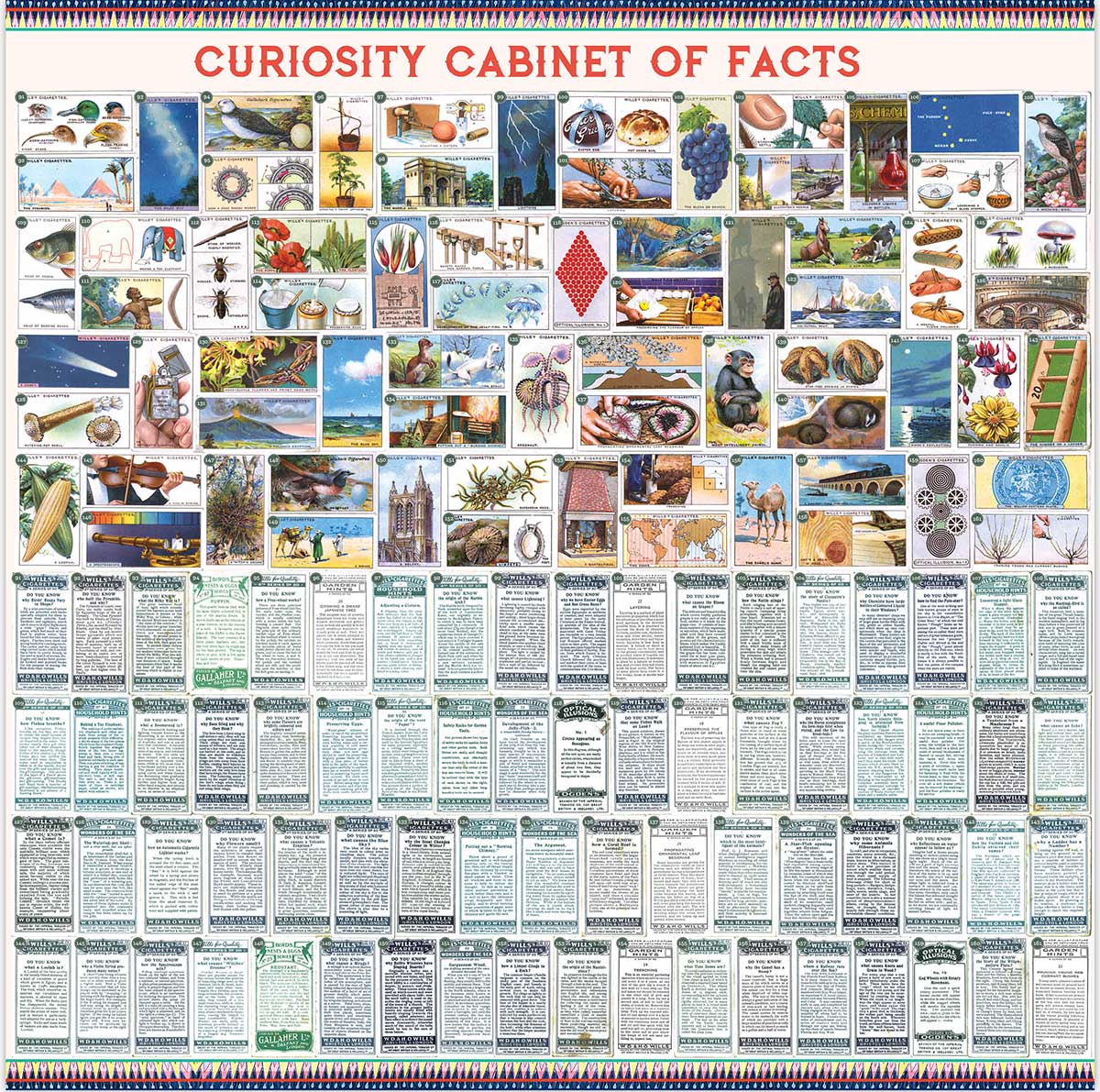Curiosity Cabinet of Facts - Scratch and Dent