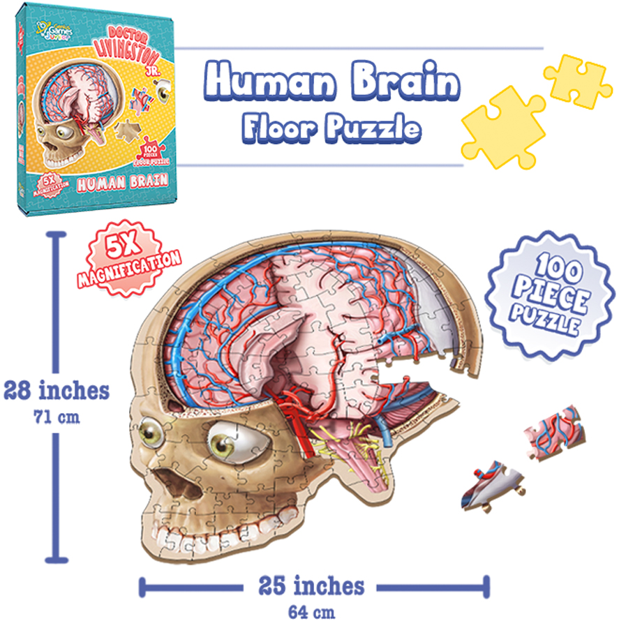 Dr. Livingston Jr. Human Brain Floor Puzzle