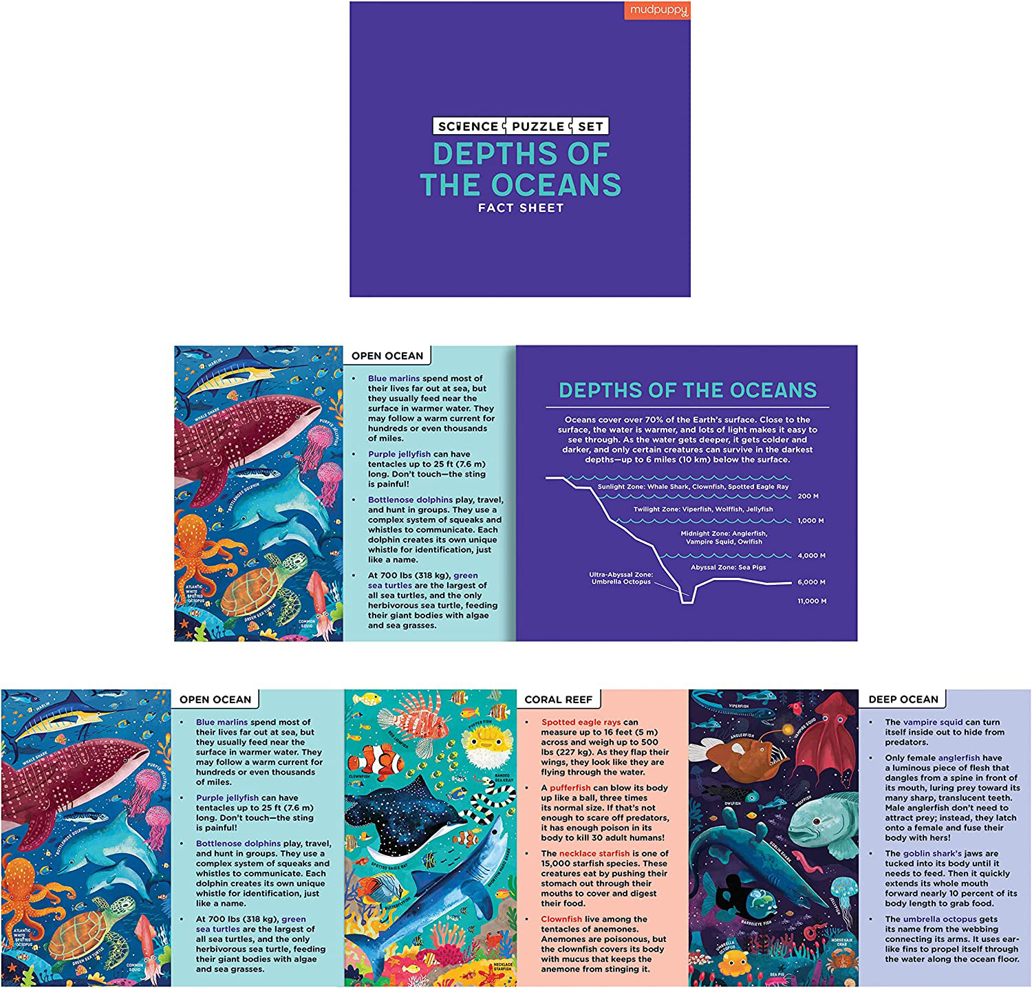 Depths of the Oceans Science Multipack