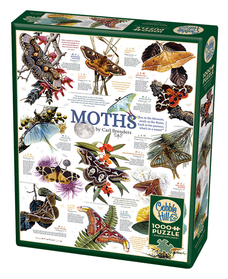 Moth Collection