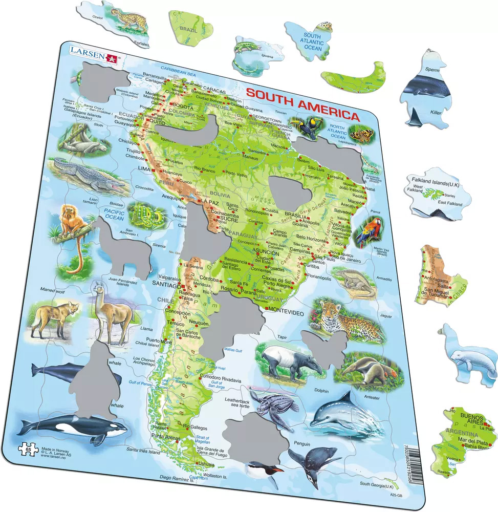 South America Topographic Map