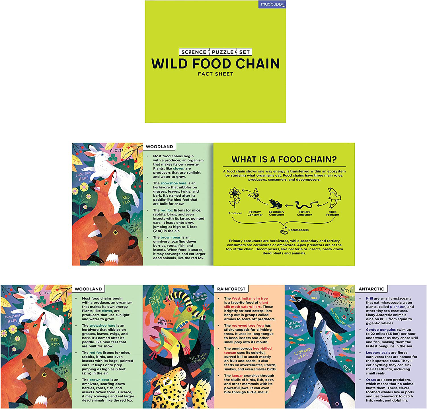 Wild Food Chain Science Multipack