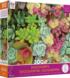 Bright Succulents Flower & Garden Jigsaw Puzzle