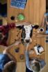 Madd Capp Mini Puzzle - I AM Cow Farm Animal Shaped Puzzle