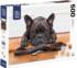 Shall We Go Out? Dogs Jigsaw Puzzle