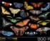 Winged Jewels - Scratch and Dent Butterflies and Insects Jigsaw Puzzle