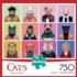 Cats in Clothes Cats Jigsaw Puzzle