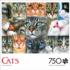 Cats Close-Up Cats Jigsaw Puzzle