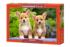 Welsh Corgi Puppies - Scratch and Dent Dogs Jigsaw Puzzle