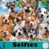 Selfies - Selfie Pups Dogs Jigsaw Puzzle