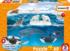 Wildlife In the Arctic Under The Sea Jigsaw Puzzle