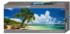 Paradise Palm - Scratch and Dent Nature Jigsaw Puzzle